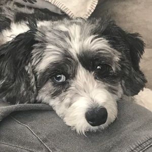 Meet your Posher, Stacey